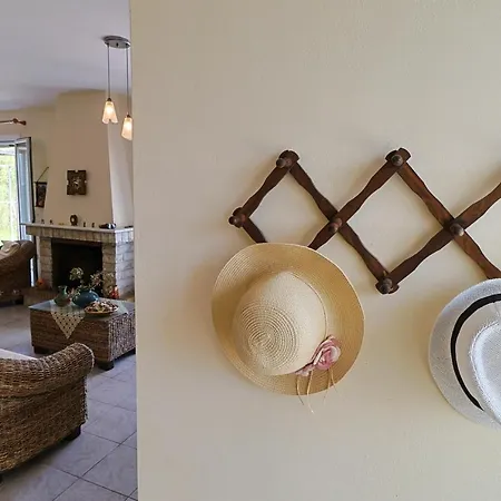 Virginia Ликсури