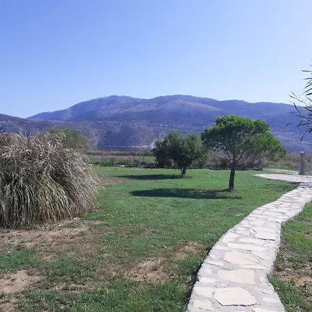 Virginia Ληξούρι